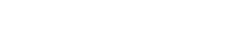 hyundai.png