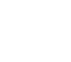 renault.png